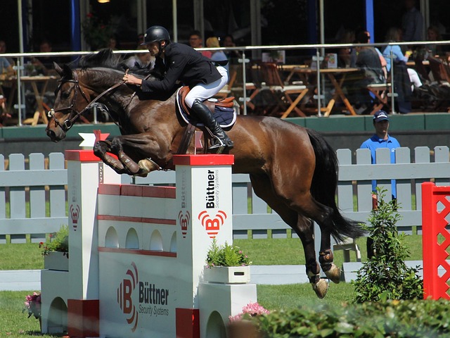 他们的替补 他们的替补