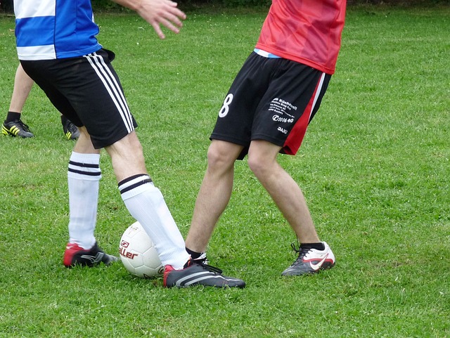 活动和日常 活动和日常