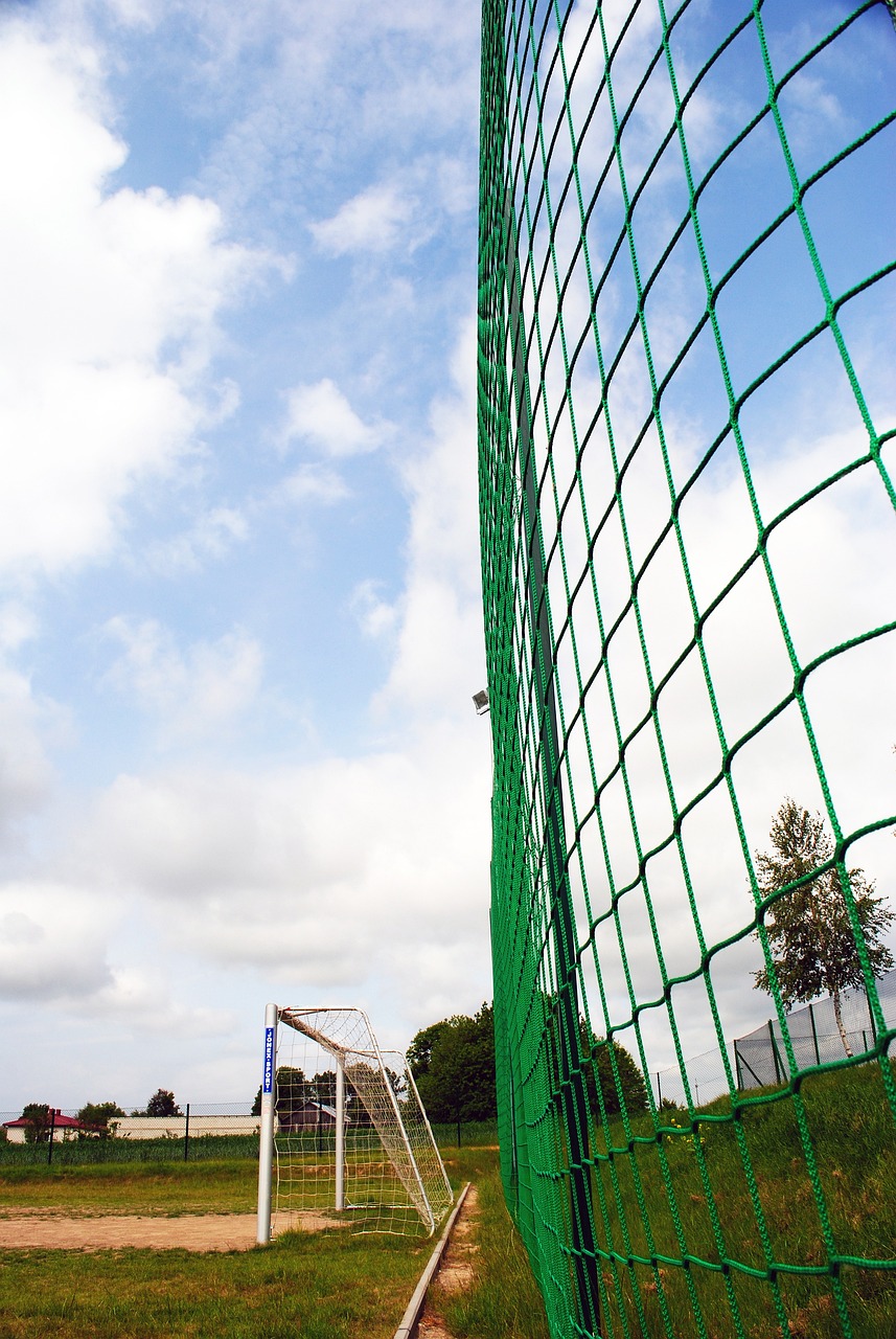 曾凡博贡献 曾凡博贡献