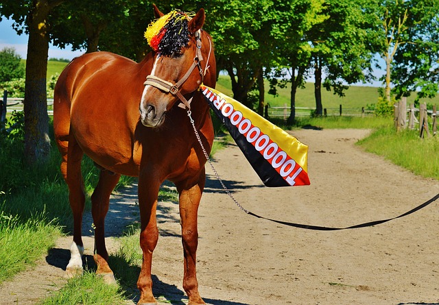 对手也毫不 对手也毫不