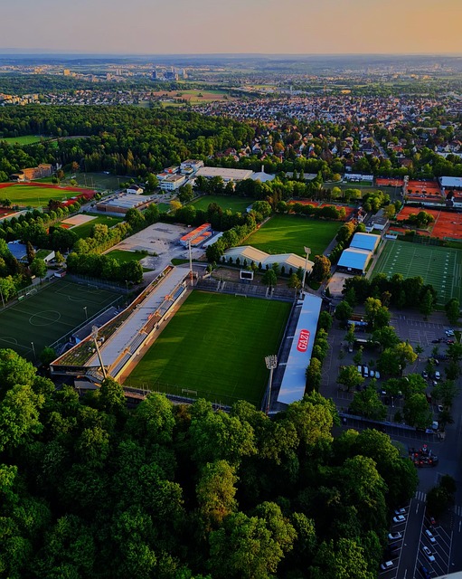 在关键比赛 在关键比赛