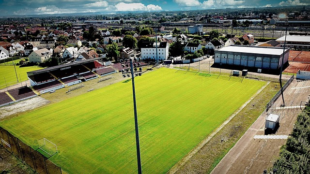 们在比赛中 们在比赛中