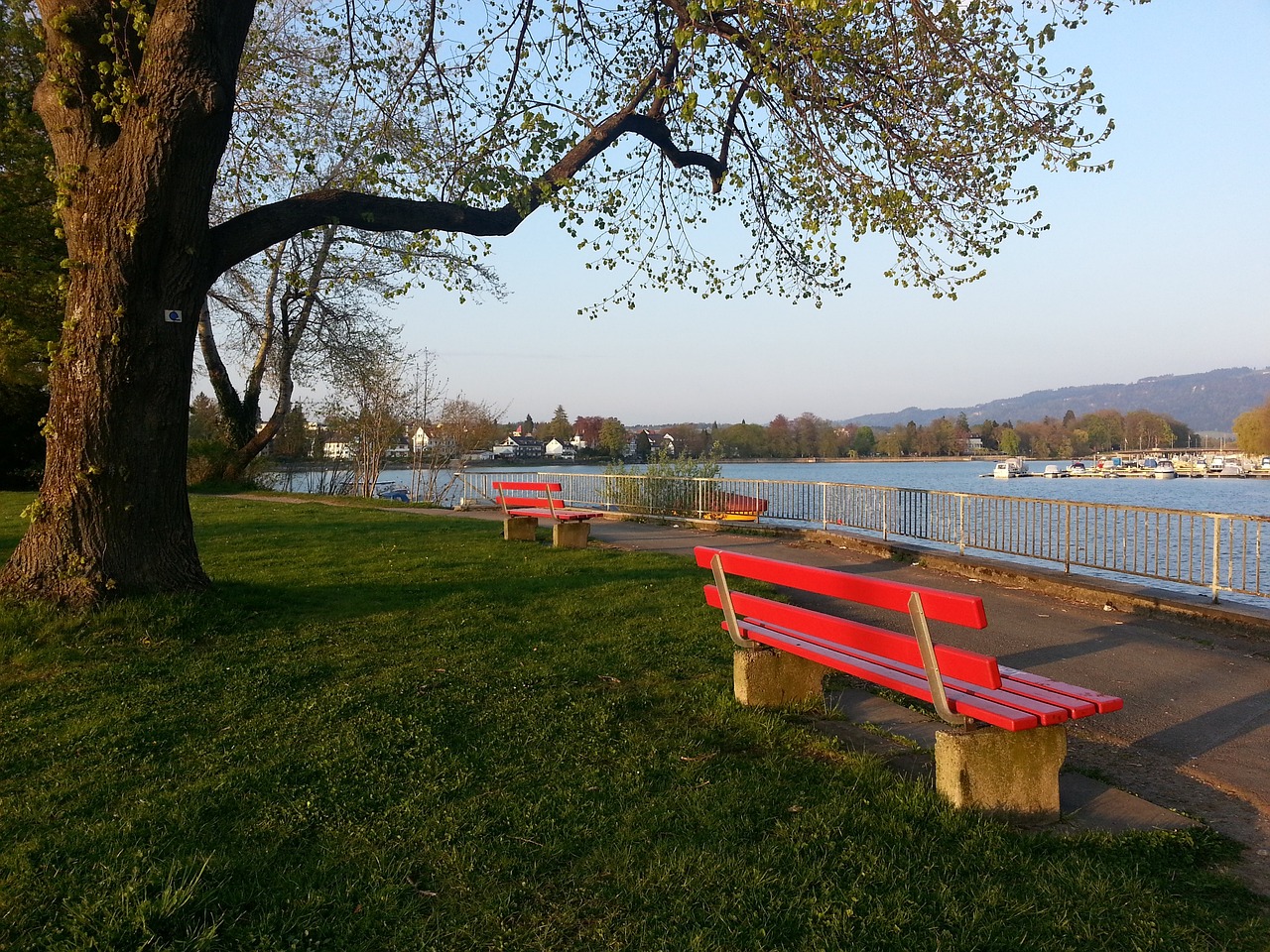 传递给读者 传递给读者