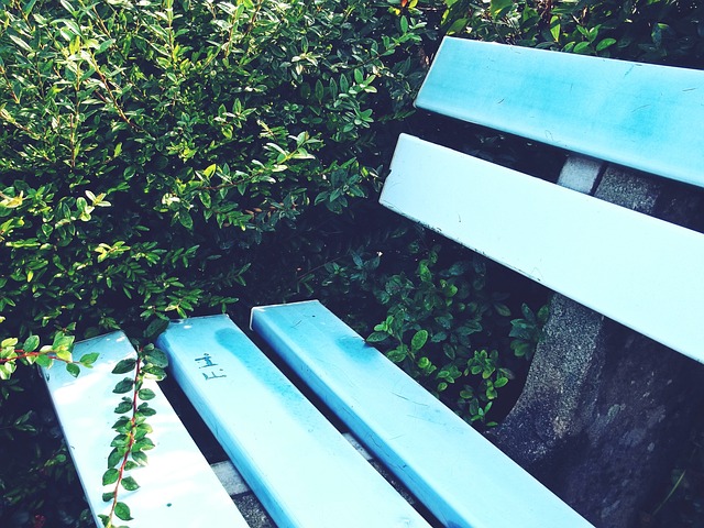 貢薩爾維斯 貢薩爾維斯