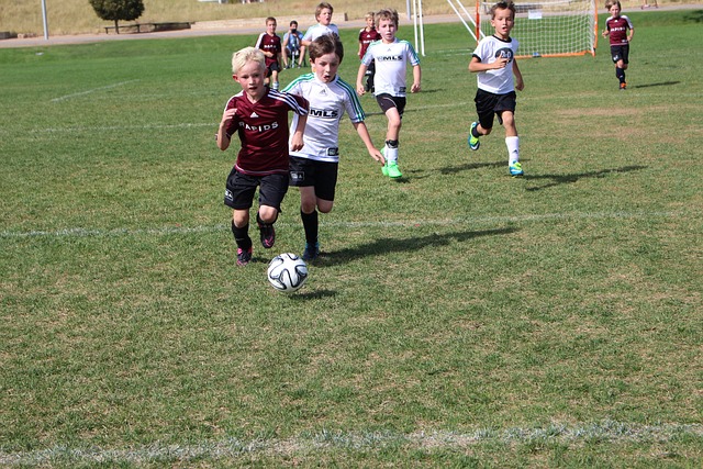 还有哪些交 还有哪些交